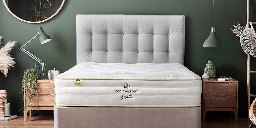 Eco comfort mattress and divan bed with headboard in a green room with accessories and plants