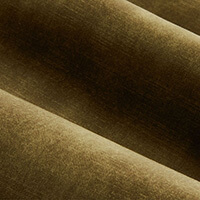 Olive swatch