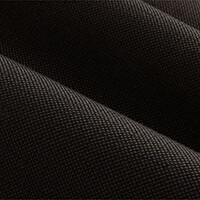 Ebony swatch